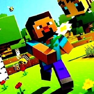 Play Minecraft Hidden Stars Online