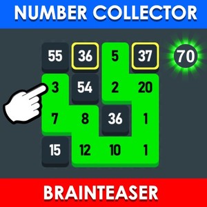 Play Number Collector: Brainteaser Online